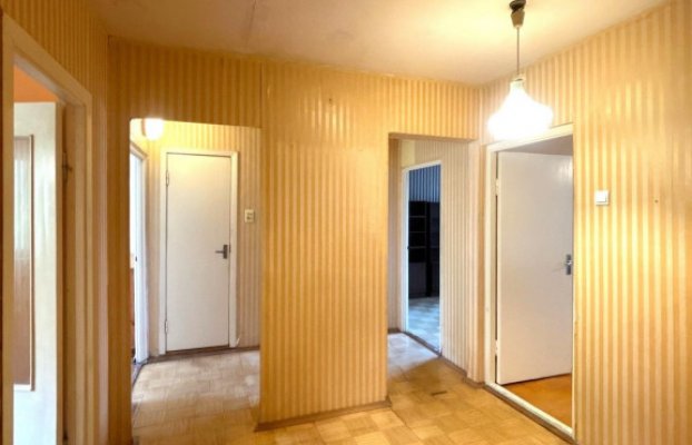 Image 10 of 32