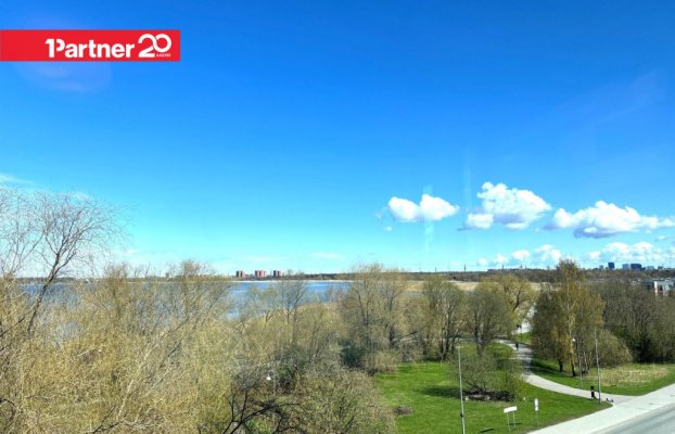 картина 9 of 46