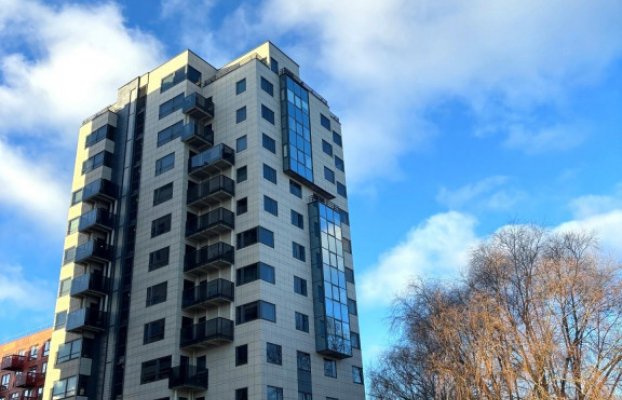 картина 45 of 46