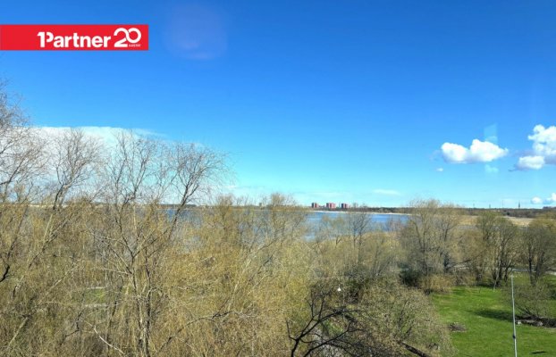 картина 20 of 46