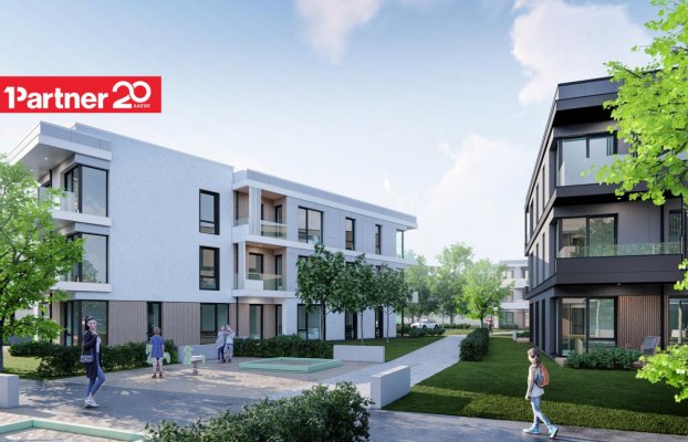 картина 6 of 22