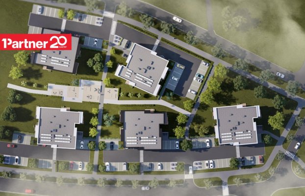 картина 17 of 22