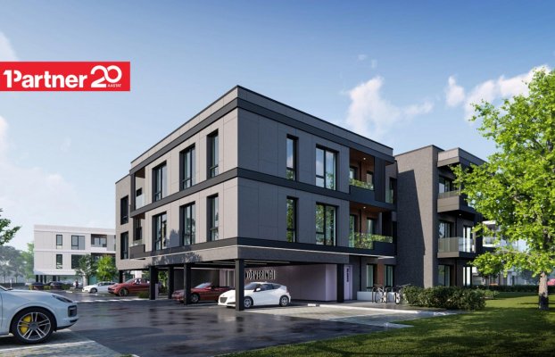 картина 7 of 22