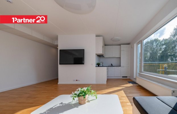 картина 10 of 32