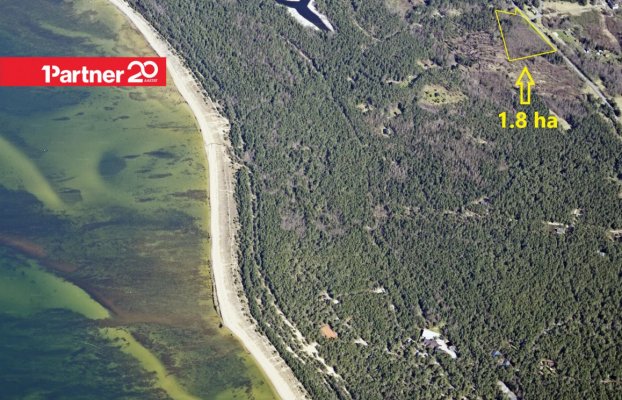 картина 2 of 9