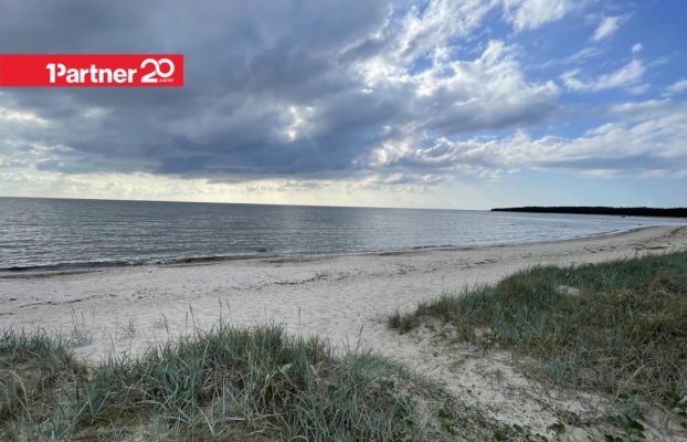 картина 8 of 9