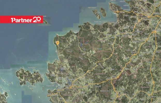 картина 9 of 9