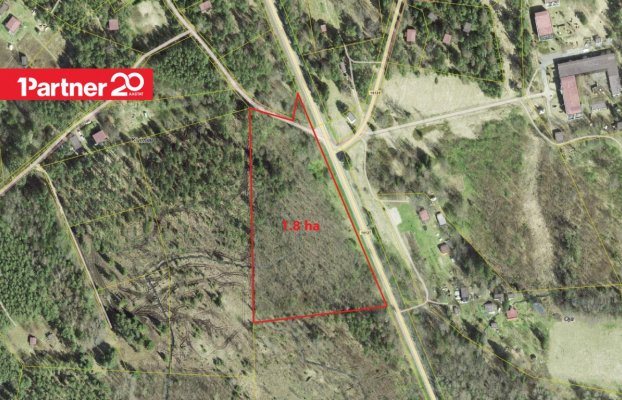 картина 5 of 9