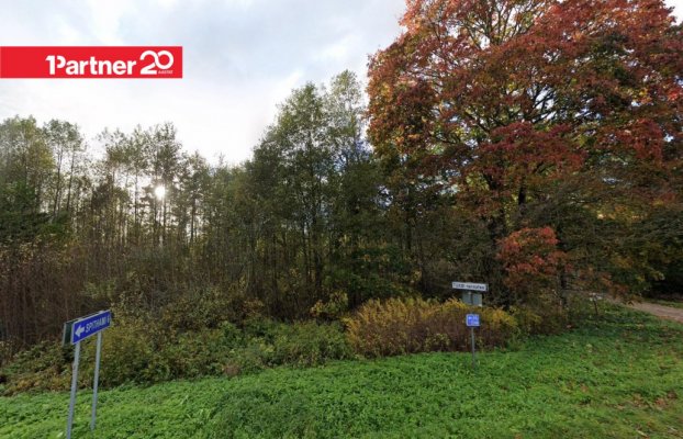 картина 7 of 9