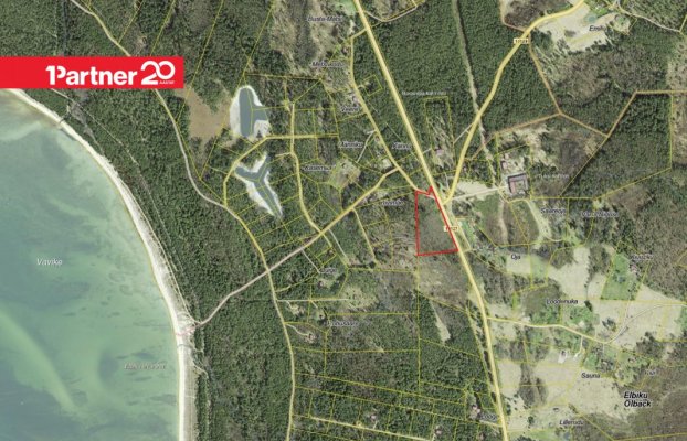 картина 4 of 9