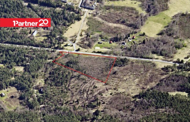 картина 6 of 9