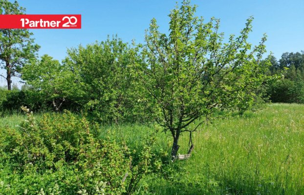 картина 8 of 9