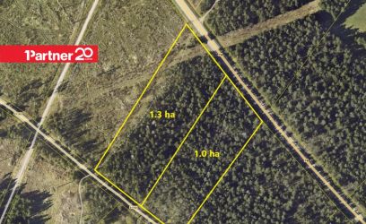 Image of 2 katastrit Kihelkonna alevi serval, kokku 2.3ha!