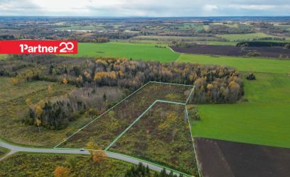 Image of 2 katastrit linna lähedal, kokku 4 ha!