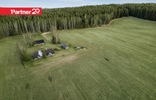 Image 16 of 17