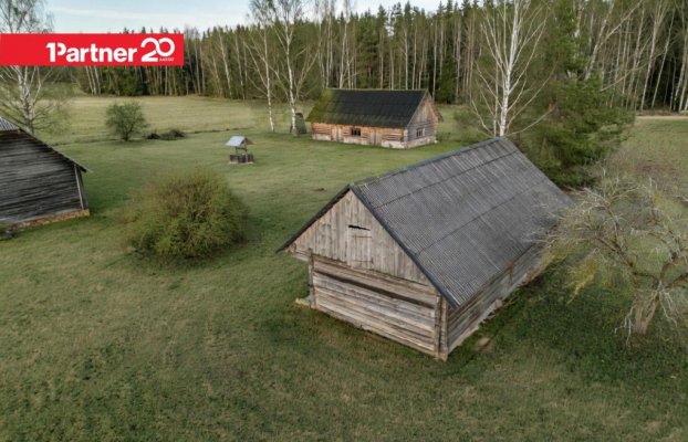 Image 7 of 17