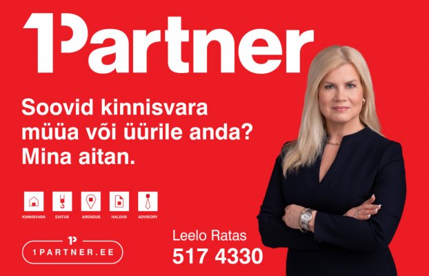 картина 13 of 13