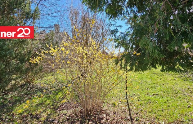 картина 48 of 51