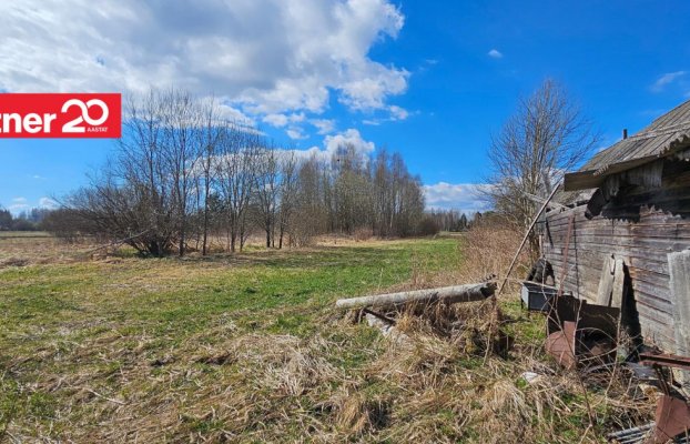 картина 43 of 51