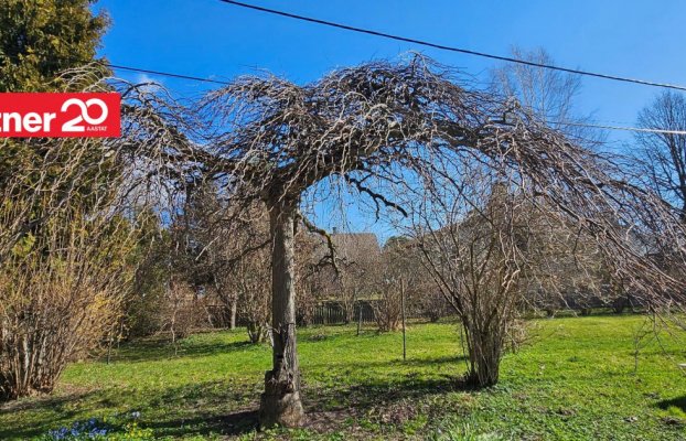 картина 46 of 51