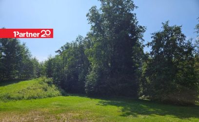 Image of PROJEKTEERIMISTINGIMUSED VÄLJASTATUD