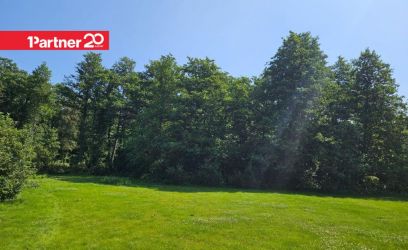 Image of PROJEKTEERIMISTINGIMUSED VÄLJASTATUD