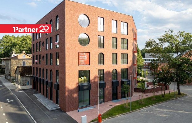 картина 12 of 16