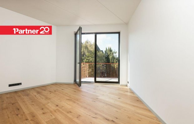 картина 5 of 16