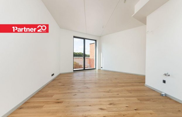 картина 6 of 16