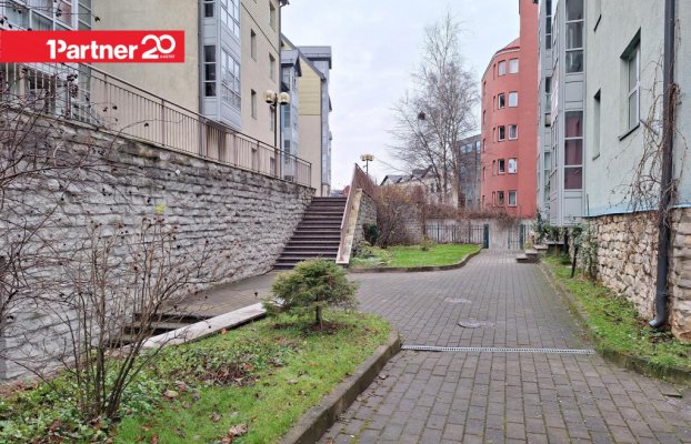 картина 22 of 26