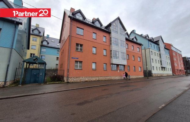 картина 24 of 26