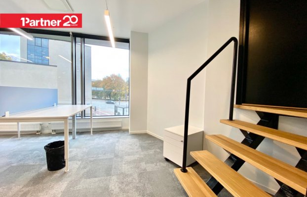 Pilt 13 of 30