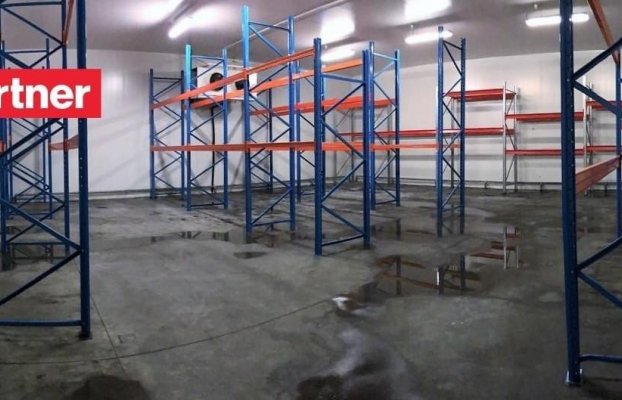 картина 19 of 31