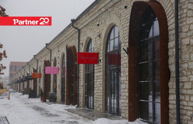 картина 20 of 24