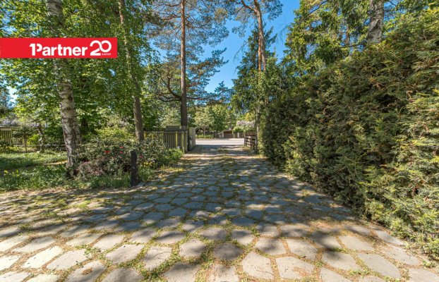 картина 9 of 61