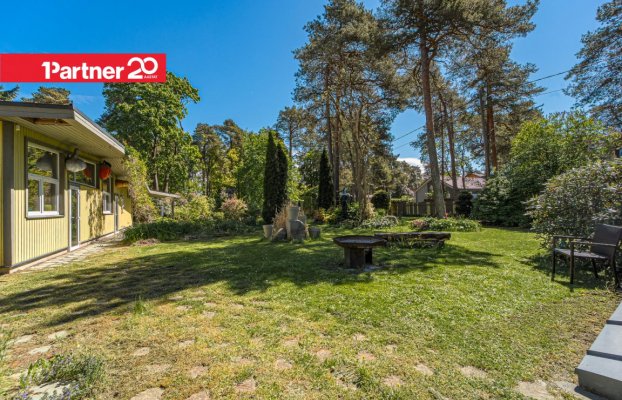 картина 10 of 61