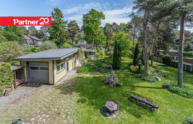 картина 46 of 61