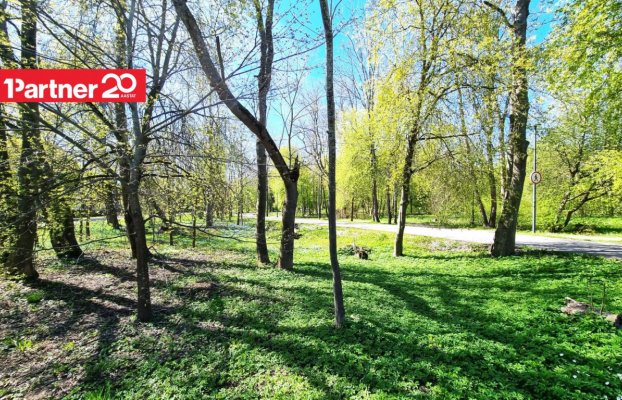картина 60 of 66