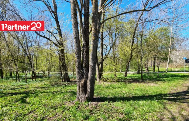 картина 62 of 66