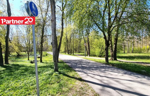 картина 59 of 66