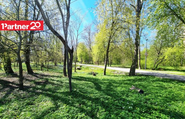 картина 58 of 66