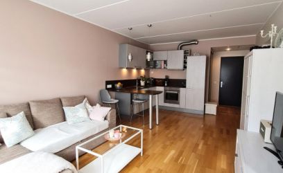 Image of RÕDUGA KORTER METSAÄÄRSES RAJOONIS! PARKIMINE KINNISES HOOVIS!