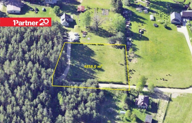 картина 1 of 4