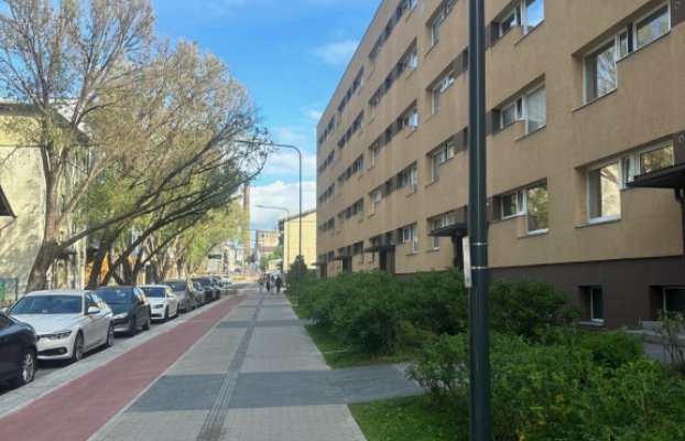 картина 19 of 23
