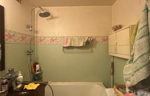 Image 11 of 20
