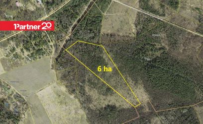 Image of 6 ha metsamaad Lääne-Harju vallas!