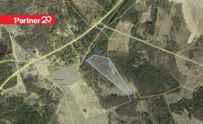 Image of 6 ha metsamaad Lääne-Harju vallas!