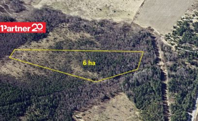 Image of 6 ha metsamaad Lääne-Harju vallas!