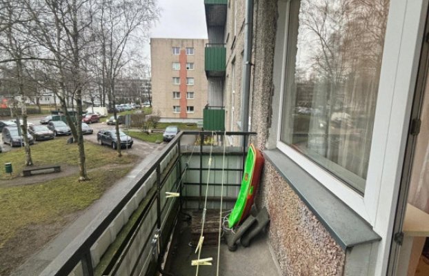 картина 5 of 19