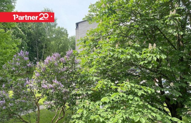 картина 6 of 19